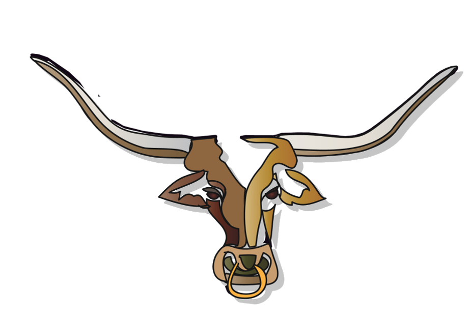 Bull Rack longhorn